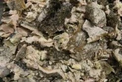 Kragborg Grøn Kallun