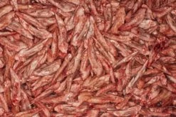 Kragborg Kyllingevinger 2 Kg.