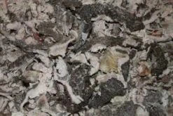 Kragborg Lammekallun 5 Kg.