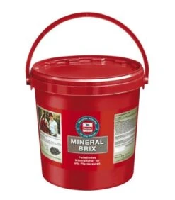 Salvana Mineral Brix 8kg