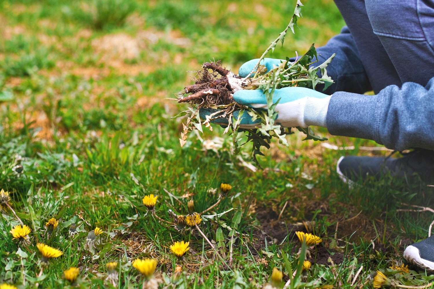 Naturlig Pleje -Naturlig Pleje Large Seezon How to avoid weeding 2 weeds 1