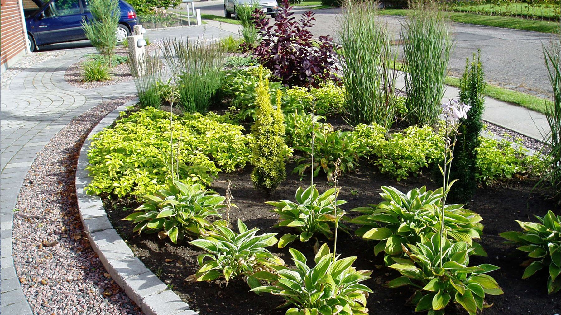 Naturlig Pleje -Naturlig Pleje beplantning anlaegsarbejde holms anlaegsgartneri 3